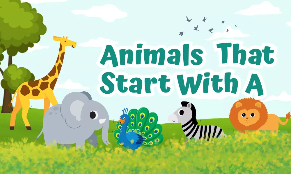 Animals That Start With A – Complete List With Habitats 1 Animals Starting With A