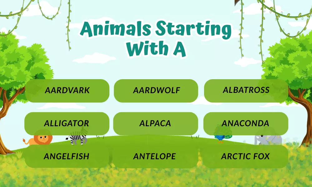 Animals That Start With A Animals That Start With A