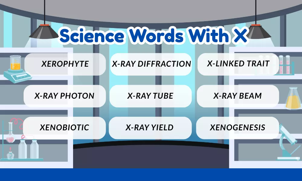 Science Words With X