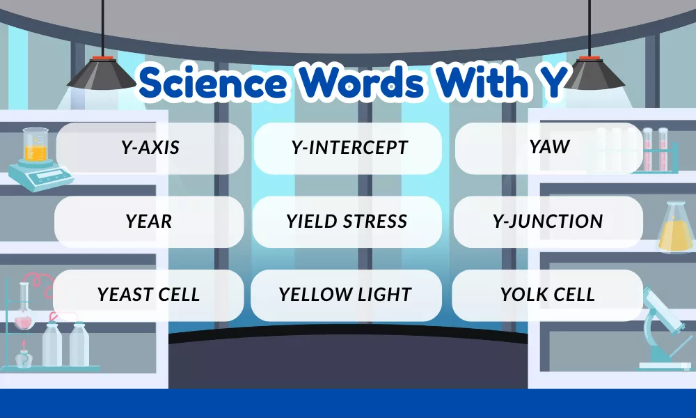 Science Words With Y Science Words With Y