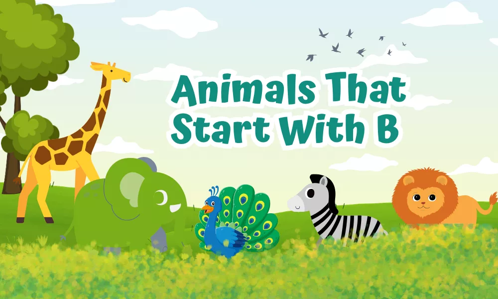Animals Starting With B