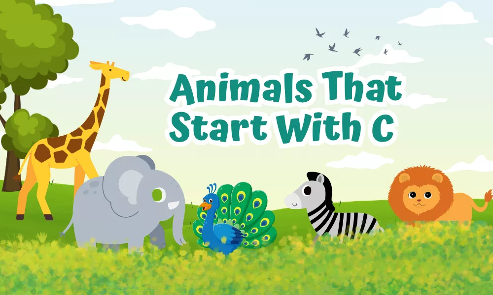 Animals Starting With C