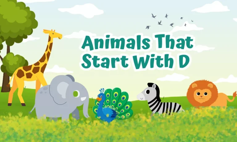 Animals That Start With D: Names And Fun Facts 6 Animals Starting With D