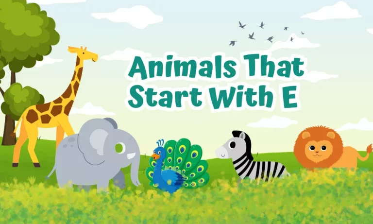 Animals That Start With E: Names & Description 5 Animals Starting With E