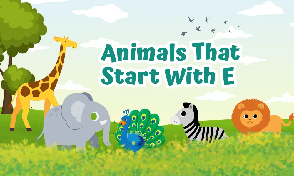 Animals Starting With E