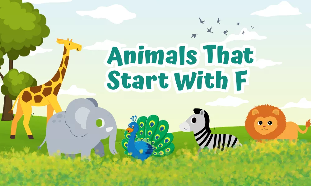 Animals Starting With F