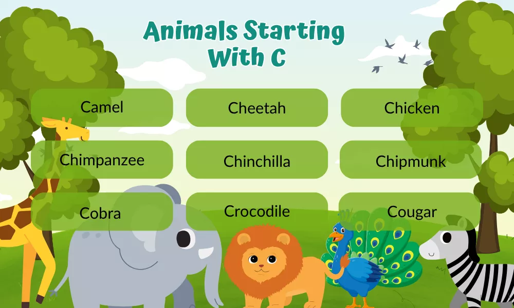 Animals That Start With C