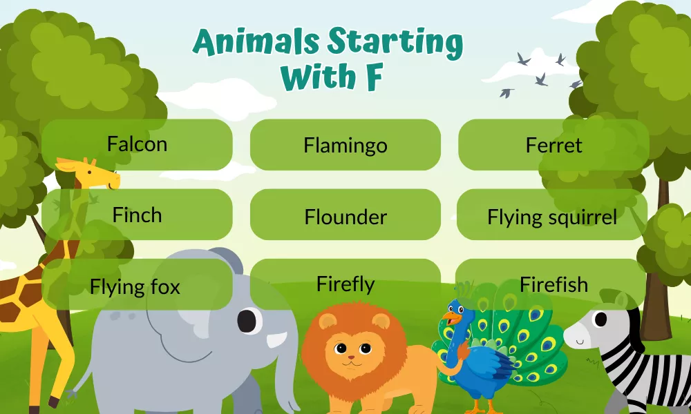 Animals That Start With F Animals That Start With F