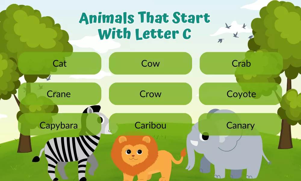 Animals That Start With Letter C
