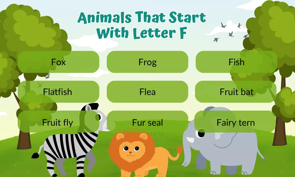 Animals That Start With Letter F Animals That Start With Letter F
